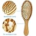 Pack of 2 Hair Brush with Natural Boar Bristles, Massages Scalp Anti-Static Hair Detangle for All Types, Lightweigh (Oval)