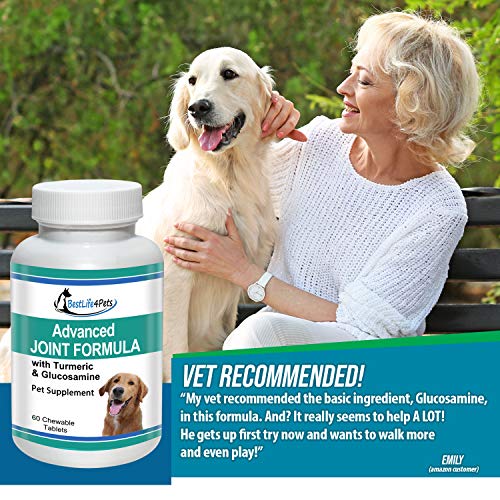BestLife4Pets Dog Glucosamine Chondroitin and Turmeric Joint Pain Relief Supplement (60 Chews)