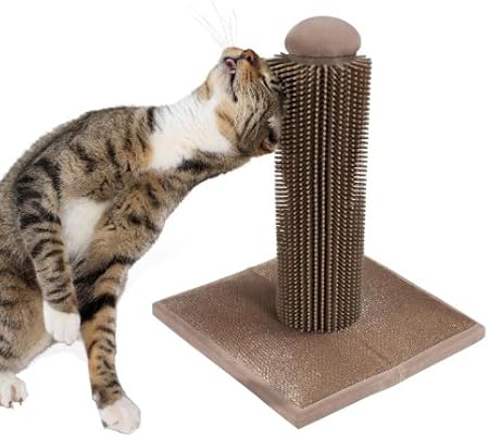 are garden mums poisonous to dogs