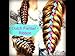 Ribbon for Crafts: Hipgirl 90 Yards 7/8