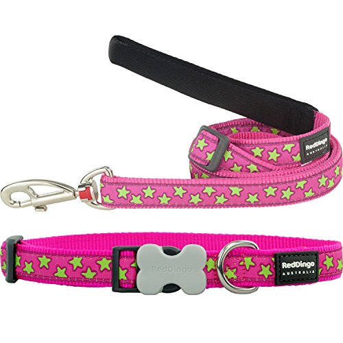 Red Dingo Hot Pink with Lime Green Stars Dog Lead, Large