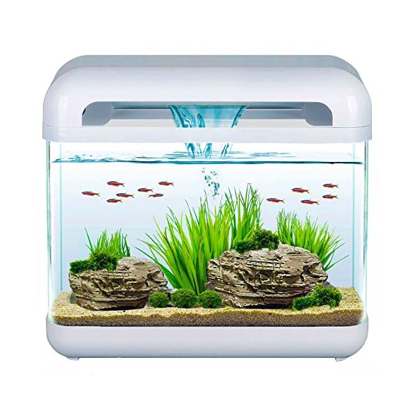 Mantovani Derby Pet Diffusion Acquario in Vetro, Bianco/ Trasparente, 15 L, 4500 G