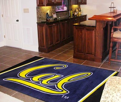 UC Berkeley Rug 4x6 46"x72"