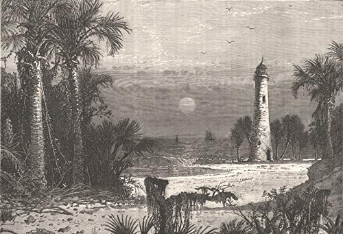 Florida Blick Auf Die Kuste Von Florida C1880 Antiker Vintage