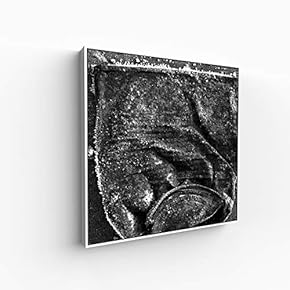 Canvas Wall Art for Living Room, Bedroom Silence Framed Canvas Prints for Home Decoration Ready to Hang - 16x16 inches