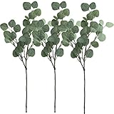 Supla 3 Pcs Artificial Silver Dollar Eucalyptus Leaf Spray in Green 25.5" Tall Artificial Greenery Holiday Greens Christmas Greenery
