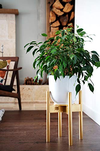 Golden Plant Stands Indoor with Tray / Coaster - Adjustable Size fits 8 9 10 11 12 Inches Small / Large Pots - Bamboo Wood - Mid Century Modern Planter Holder