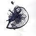 FeiYu Crafts Penny Mesh Hat Fascinator with Mesh Ribbons and Navy Feathers