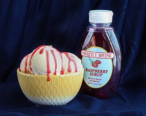 Sweetly Divine Natural Fruit Flavored Blueberry Syrup for Coffee, Pancakes, Waffles, Ice Cream - Healthy and Great Tasting Flavoring Syrup - No High Fructose Corn Syrup (Blueberry, (2) 14 oz bottles)