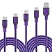 USB Type C Cable, 4-Pcs (1ft,3ft,6ft,10ft) Fasgear Braided Fast Charging Type-C 2.0 Cable Compatible with Note 9/S9/S10, LG V30/V20 G6 G5,Google, Switch, Pixel, XL and More (Purple)