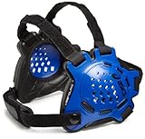 ASICS Conquest Ear Guard, Royal/Black, One Size
