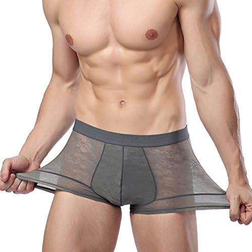 Men's Sexy Soft Underwear Sheer Brief Panty Boxer Trunks Panty Many Colors (L, Grey)