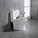 Woodbridge Moder Design, Elongated One piece Toilet Dual flush 1.0/1.6 GPF,with Soft Closing Seat, white, T-0032