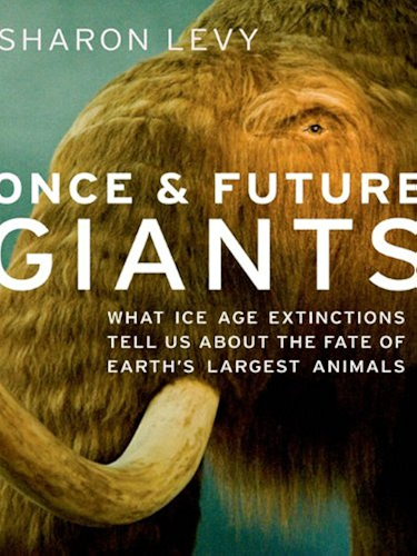 Download Once and Future Giants: What Ice Age Extinctions Tell Us About the Fate of Earth's Largest Animals (English Edition) PDF