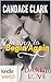 Dare To Love Series: Daring to Begin Again (Kindle Worlds Novella)