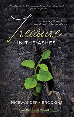 Treasure in the Ashes: Our Journey Home from the Ruins of Sexual Abuse by Sue Nicewander, Maria Brookins
