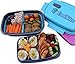 CoolBites Premium Bento Lunch Box - BPA Free Leakproof Multi Compartment Convertible Lunch Container with Built-in Freezable Gel Ice Pack
