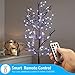 AMIR Led Fairy String Lights, 16.4ft 50 Led Starry Fairy Lights With Remote Control, 8 Modes Waterproof Decorative Lights For Outdoor Bedroom Garden Wedding Christmas (Battery Operated - Pack of 2)