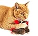 Pet Craft Supply Co. Kitty Condor Crazy Catnip Cuddler Funny Cuddling Chasing Hunting Irresistible Stimulating Soft Plush Boredom Relief Interactive Cat Toy with Realistic Feathers, All Breed Sizes
