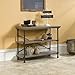 Sauder Canal Street Anywhere Console, For TV's up to 42