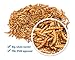 Backyard Pals Mealworms Bulk Dried Mealworms with Scoop, 5 lbs