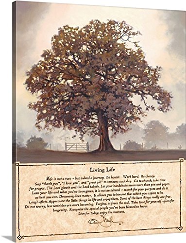 Bonnie Mohr Premium -Canvas Wall Art Print entitled Living Life