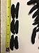 Dried Wild Sea Cucumber,岩刺参,Holothuria Mammata, Grade AAAA (mix size) 1LB