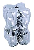 H&H Hanayama Cast Metal Brain Teaser Puzzle (Level 5)