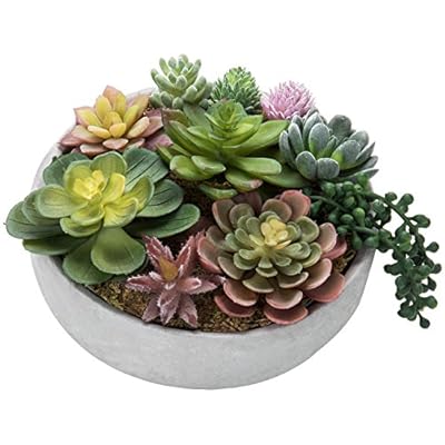 MyGift 8-Inch Faux Succulent Arrangement, Assorted Fake Plant in Gray Concrete Bowl Planter 51%2BUK ZLEPL