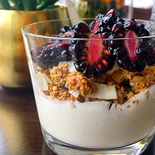 5 ProGranola+Protein+Cereal+Vanilla+Paleo