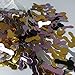 HAWORTHS Mini Plastic Penis Table Confetti Scatters for Hen Night Bachelorette Party Decoration Naughty Favor Gag Gift (Gold + Silver + Black) 3 pack