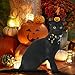 Rypet Cat Halloween Costume Halloween Cat Collar with Bells and Halloweens Pumpkin Hat Cats Costume Suit for Cats and Small Dogs