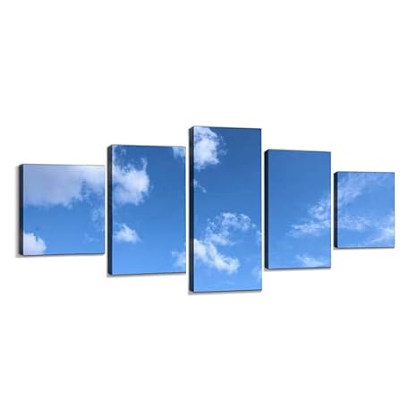 Amazon 自然 風景 空 雲 青空 白い雲 初夏 夏 秋 真夏 天空 広角