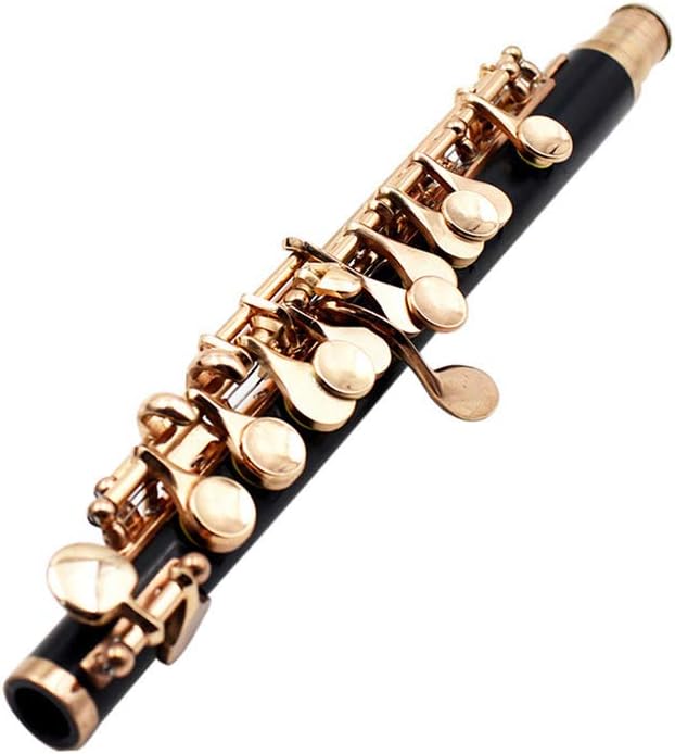 Nuyi Golden Piccolo C Tune Flute Box Wind Instruments For Children And Adults Amazon Co Uk Kitchen Home