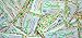 Stevita Organic Spoonable Stevia, Box of 2,000 1 G Packets