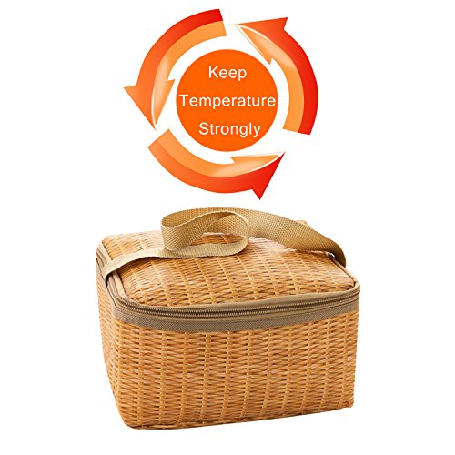 Insulated Lunch Tote Bag Large Capacity for Women Men Girl Boys Kids Wok