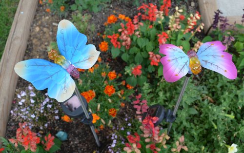 Solar Fiber Optic Butterflies of Two - Blue and Pink