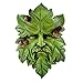 Top Collection Garden Acorn Greenman Hanging Plaque