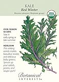 Red Winter Kale Certified Organic Heirloom Seeds