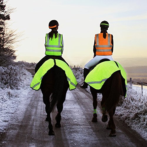 hi viz horse riding vest with pockets