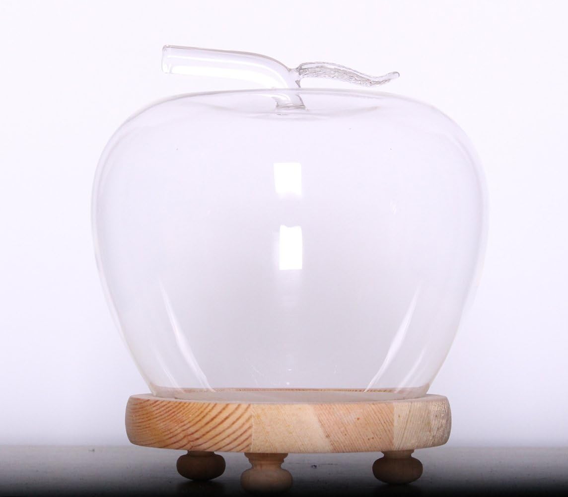 Clear Small Cute Glass Cloche Bell Jar Display Case Apple Shape with Unpainted Wood Base