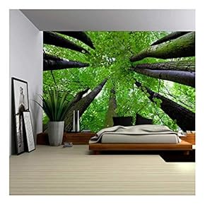 BRAND_NAMEGazing Up Into a Leafy Covered Forest Wall Mural