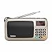 Rolton W405 Portable Mini FM Radio Speaker Music Player TF Card for PC iPod Phone with LED Display (Gold)