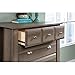 Sauder Shoal Creek 4 Drawer Chest in Diamond Ash