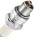 Champion Copper Plus Small Engine 828-1 Spark Plug (Carton of 1)