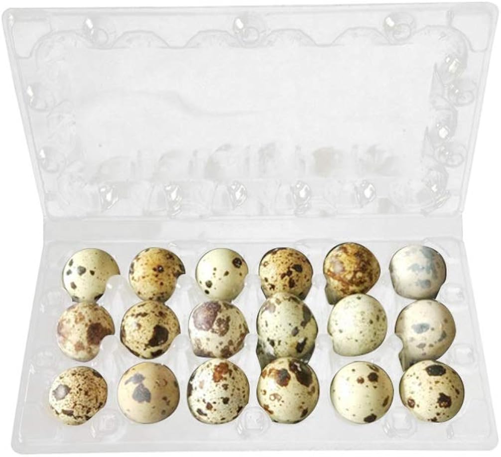 Hemoton 50pcs Plastic Quail Egg Cartons Holder with Lid, Quail Eggs