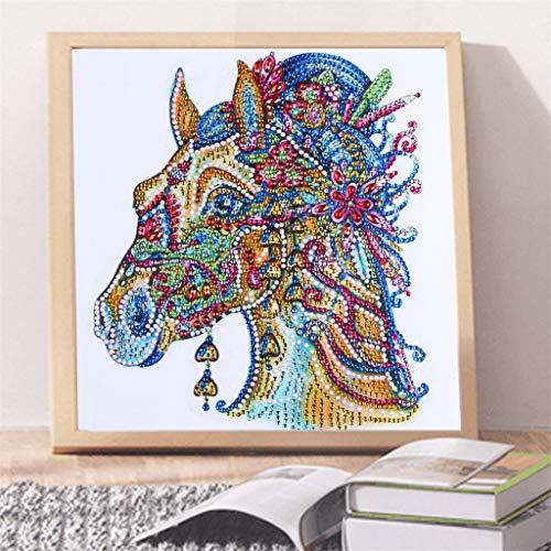 DIY 5D Diamond Painting by Number Kits, Crystal Rhinestone Embroidery Paint with Diamonds, Full Drill Canvas Art Picture for Home Wall Decor