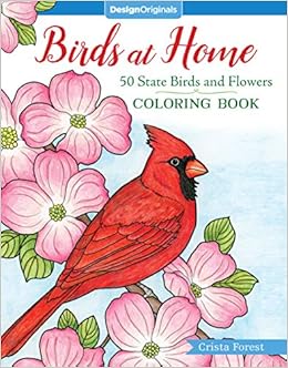 920+ Colouring Book Birds Picture HD