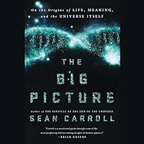 The Big Picture: On the Origins of Life, Meaning, and the Universe Itself The Big Picture: On the Origins of Life, Meaning, and the Universe Itself