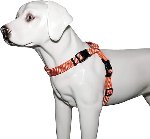 KOOWIN Slip Martingale Dog Harness 